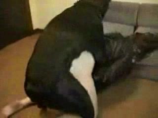 Teen Girl Want Fucking And Sucking Deep Pussy