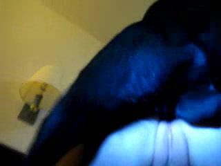 Dog streaming fucked hard POV