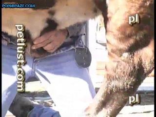 cowboy Zoofilia - Animal Porn Free