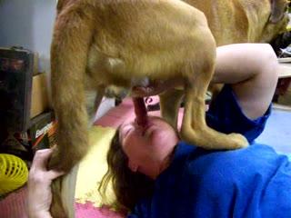Horny chubby woman sucking deep dog - Animal xxx videos