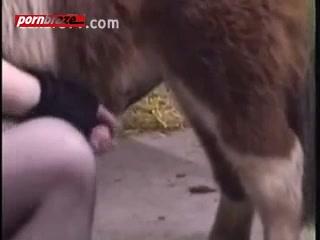 Dog And girl enjoy sexual