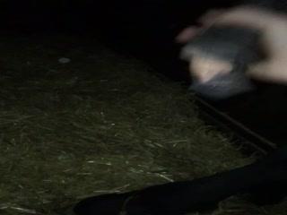 the horse gets standing when I runkade at the cook Part 3