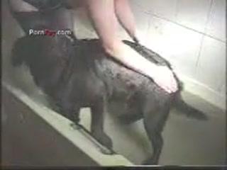 Shw Show cam - she want sex dog now