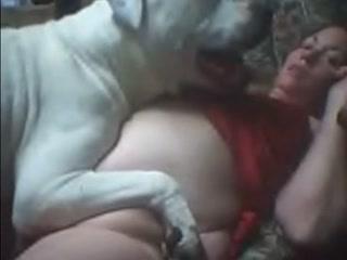 White dog ridding horny MILF