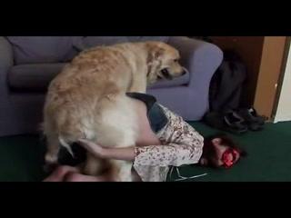 Young girl slut fun with dog - Animals porno