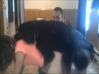 Let dog fuck his wife show webcam