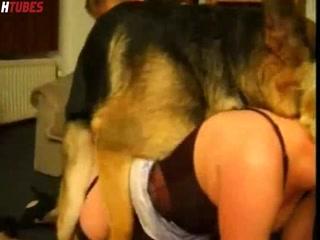 HD Fucking Animal video