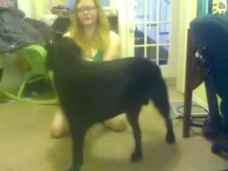 This is exactly chooser to animal sex