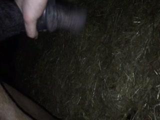 Horse Fucking Cook Show Porn Part 2