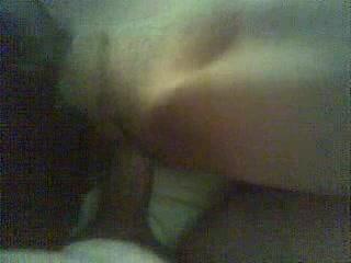 Chubby dog enjoys having sex with amateur couple