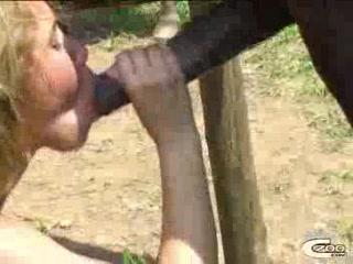 Big black horse cock deepthroat by teen