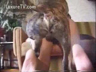 Lustful Blonde Love Fucking Ass - Dog Porn