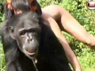 Two hot babes and a fucking happy monkey